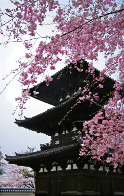 Pagoda - Nara