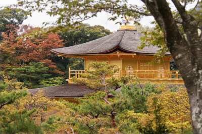 Golden Pavilion - Kyoto