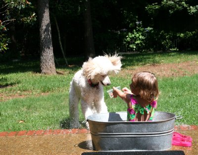 IMG_7489 Molly.jpg