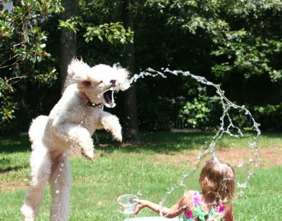 IMG_7492 Molly.jpg