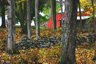 NY Homestead