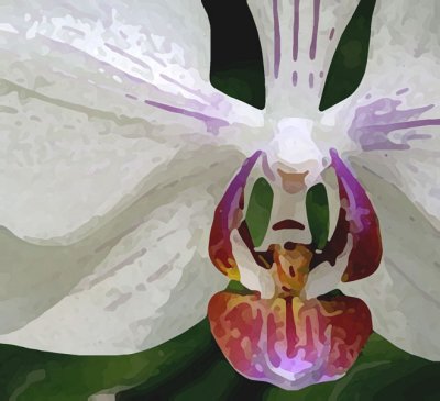 Orchid 2