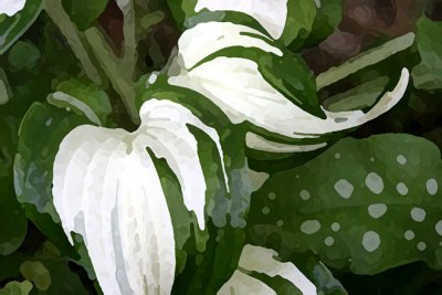 Leaves 1