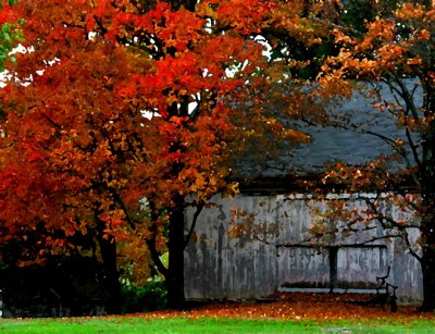 Autumn Barn