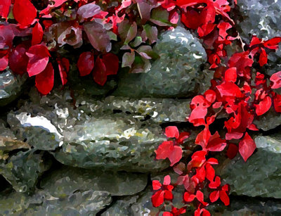 Autumn Wall 2
