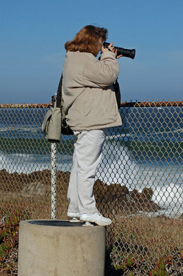 Pacific Grove - Nov 2005