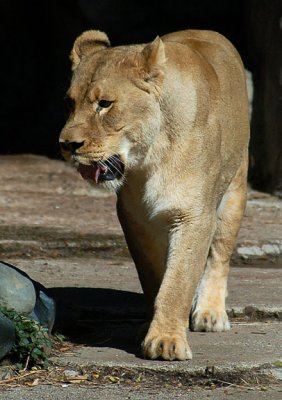 g6/04/451004/3/87183502.vmp8MP1M.jpg