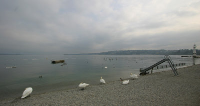 Lake Geneva