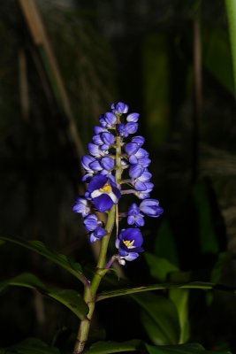 DPP_101536.JPG