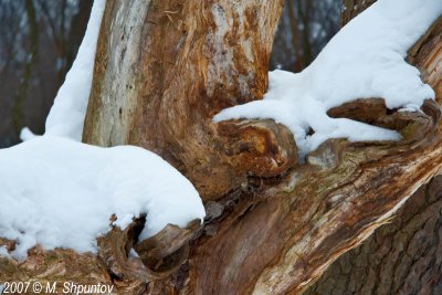 Split By Snow