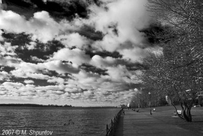 Toronto's Waterfront