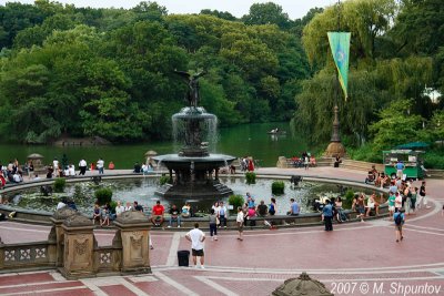 New York, Central Park #5