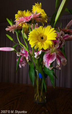 Vase and Flowers