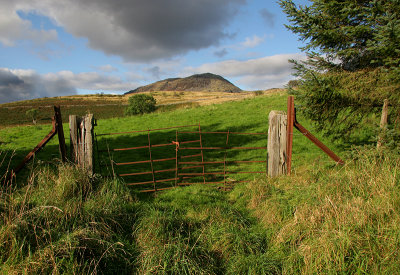 Manod gate.