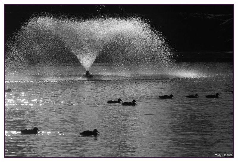 DSC_0017.jpg  Hesketh Park.jpg  8.jpg