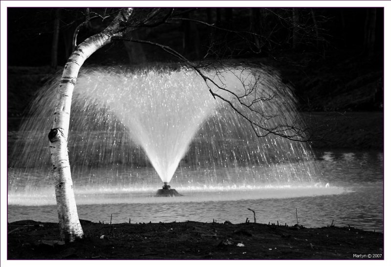 DSC_0040.jpg hesketh park 6.jpg 6.jpg