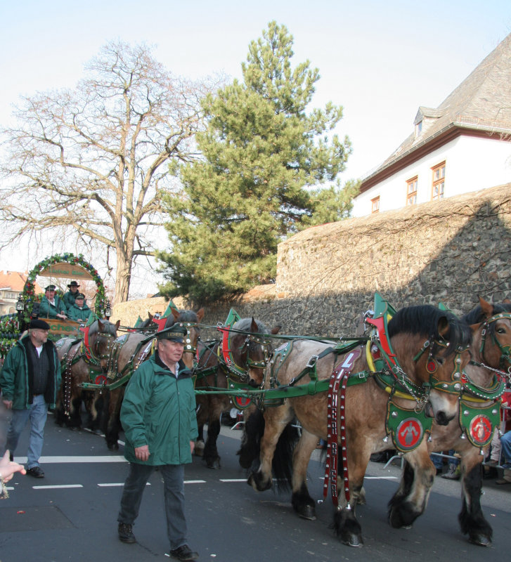 Beer Wagon Horses