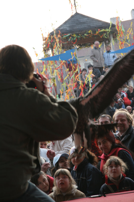 Easter Bird show