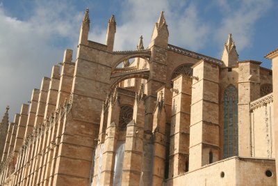 CathedralFrmBack.jpg