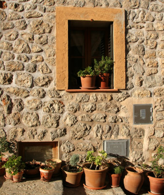 Window, Wall and Plants