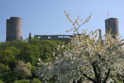Apple Blossoms and Castle
