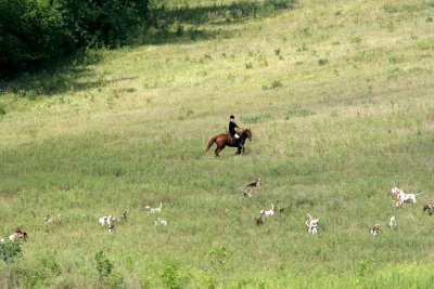 horse&Hounds.jpg