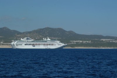 DSC_4350-web.jpg