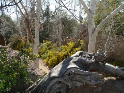 Arizona Desert Museum