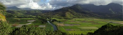 Hanalei Valley