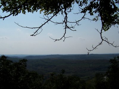 Countryside around Buje