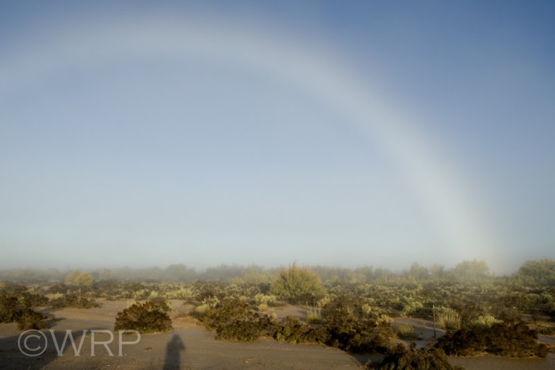 White Rainbow #2