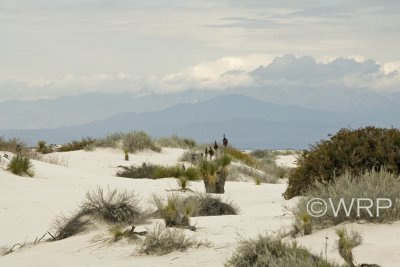 White Sands National Monument, NM