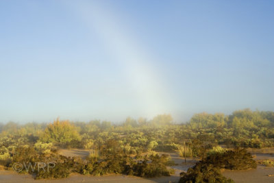 1 White Rainbow, Alamogordo, NM