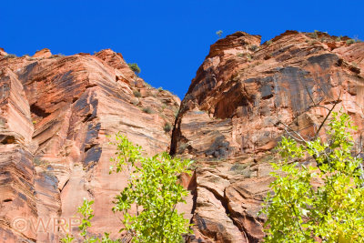 5 Zion National Park, UT