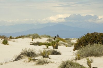 2 White Sands National Monument, NM