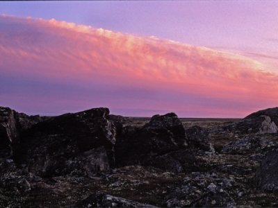 Tundra Sunset