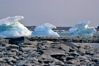 Three Iceburgs