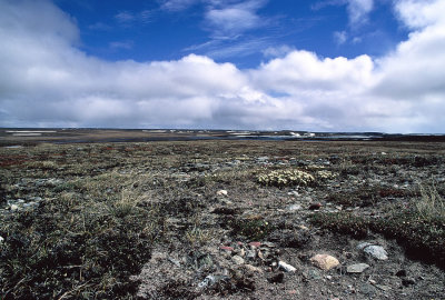 Meliadine River