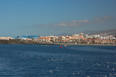 Tenerife-092.jpg