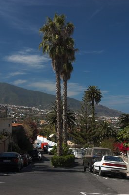 Tenerife-253.jpg