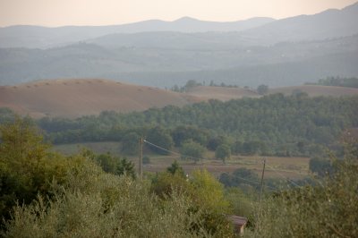 Siena