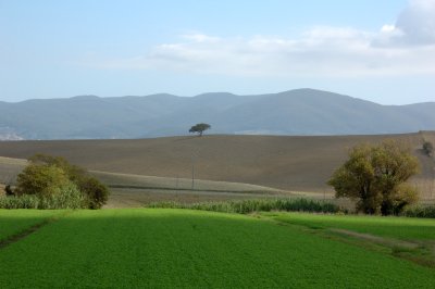 Colline Toscane