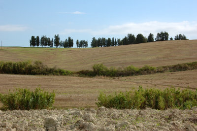 Colline Toscane