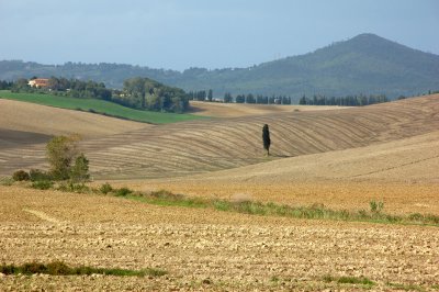 Colline Toscane