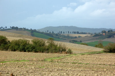 Colline Toscane