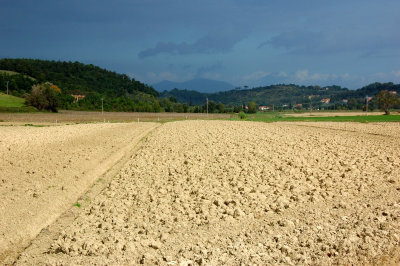 Colline Toscane