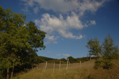 Colline Toscane