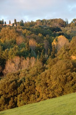 Colline Toscane