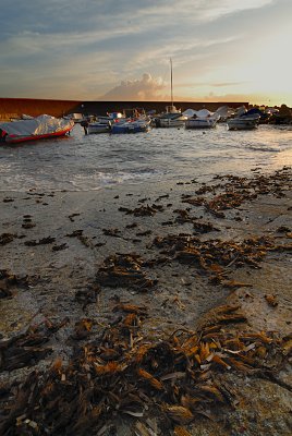 Porticciolo di Marina
