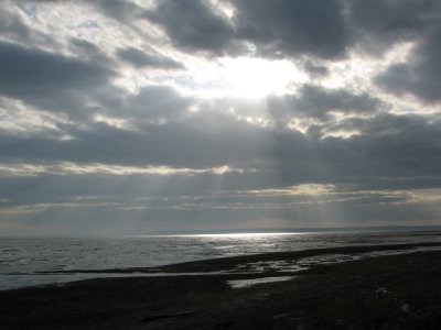 IMG_3192.JPG